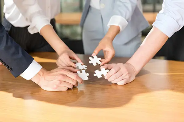 政府的法律保障是什么