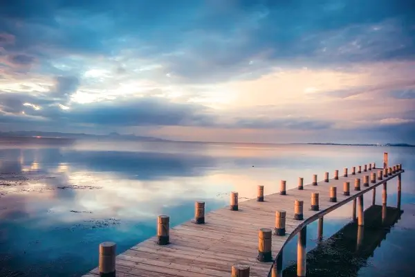 什么是特殊性法律