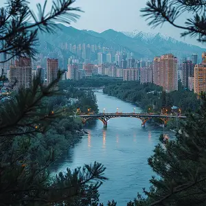 友字摆笔顺怎么写，正确写法详解